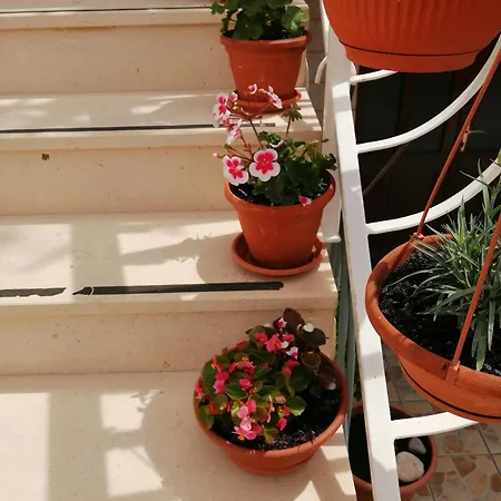 Appartement With Parking Space - 2476