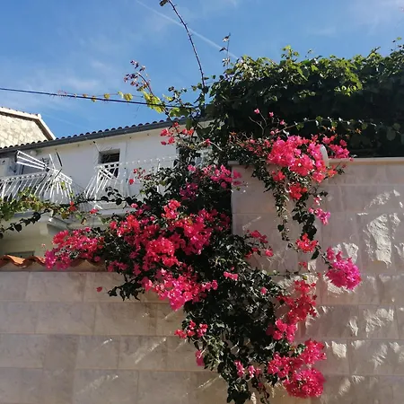 With Parking Space - 2476 Apartman Vis