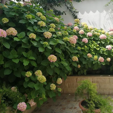 Apartman With Parking Space - 2476 Vis