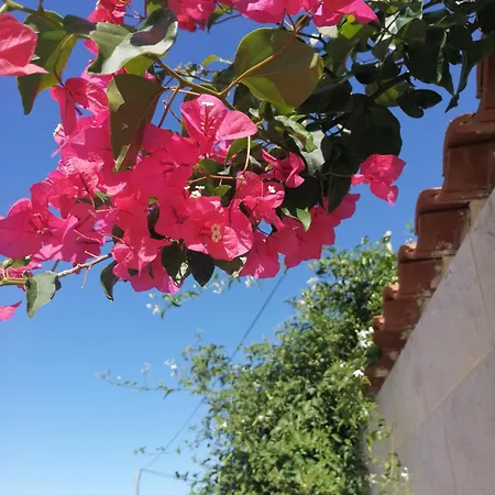 With Parking Space - 2476 *