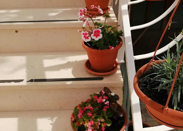 Apartment With Parking Space - 2476