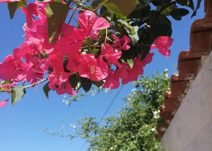 With Parking Space - 2476 *